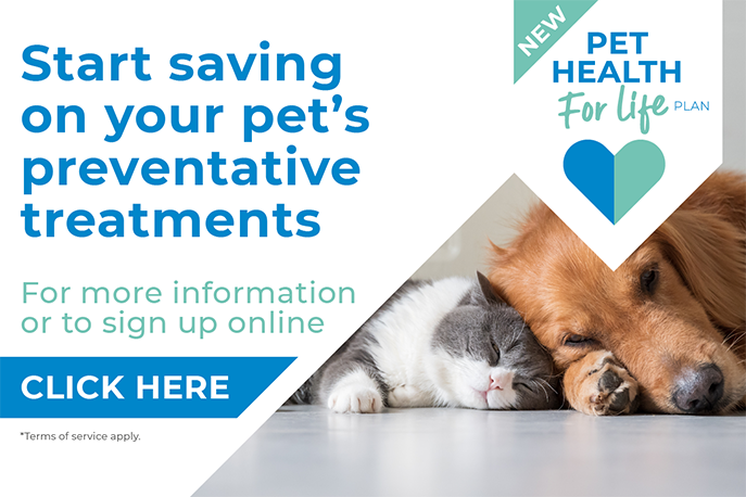 Join our Pet Health for Life Plan today