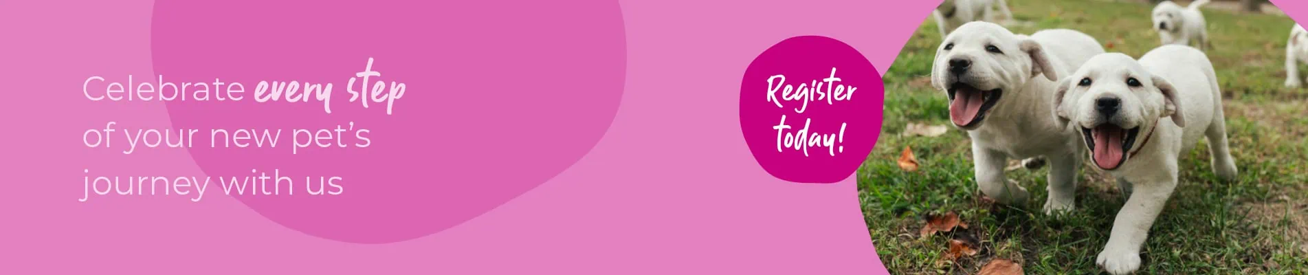 Start of Life for Your Puppy or Kitten