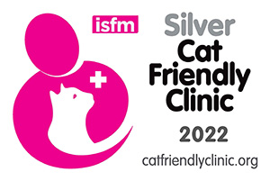 CFC Silver logo for clinics2022 300x201px