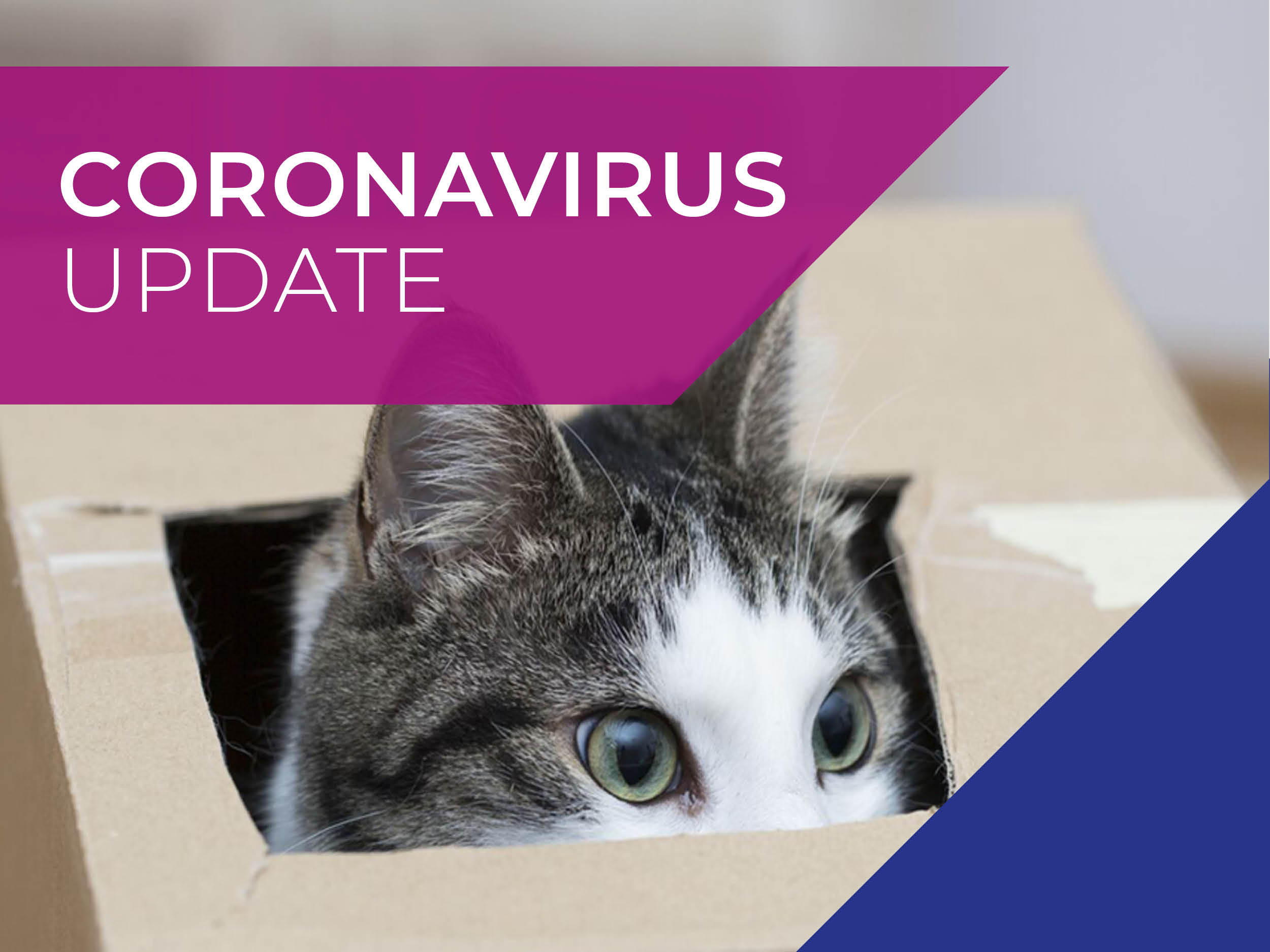 St Clair Vet COVID-19 Update