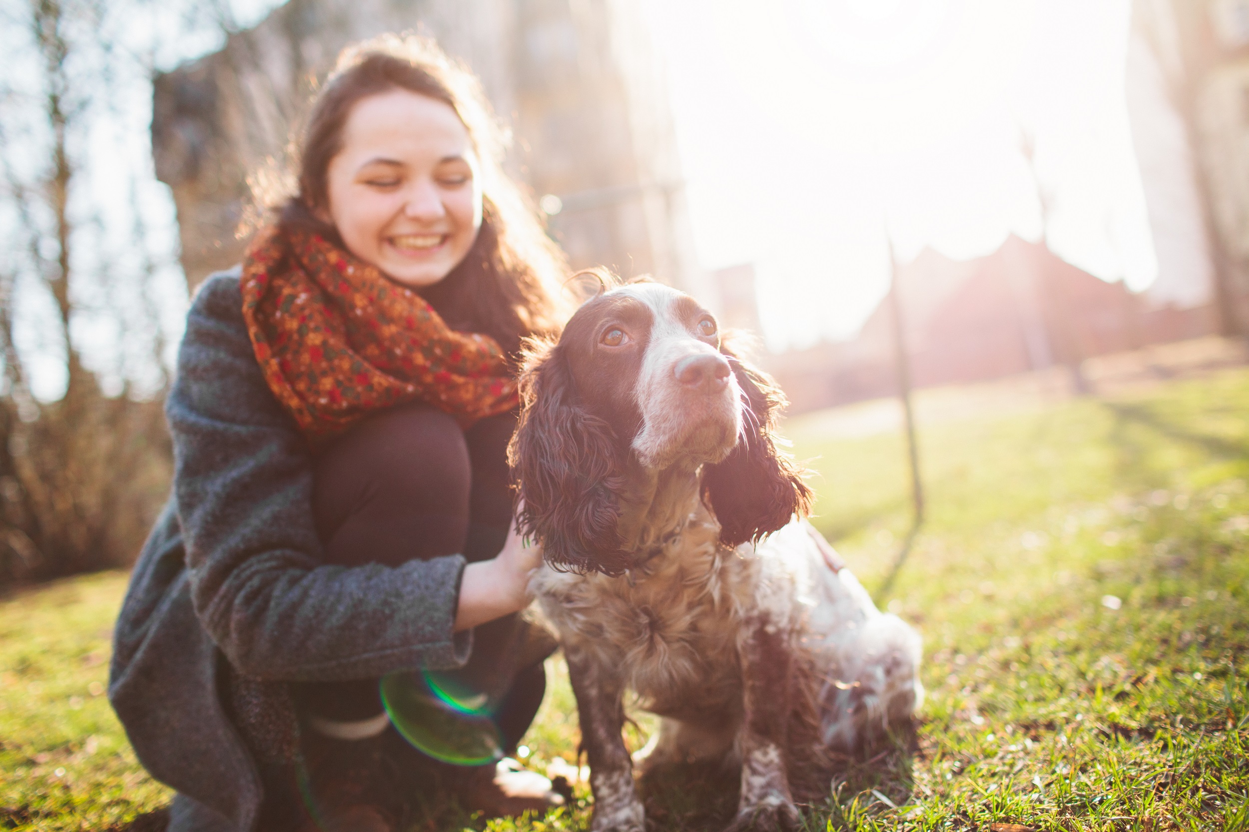 Dog being pet by owner