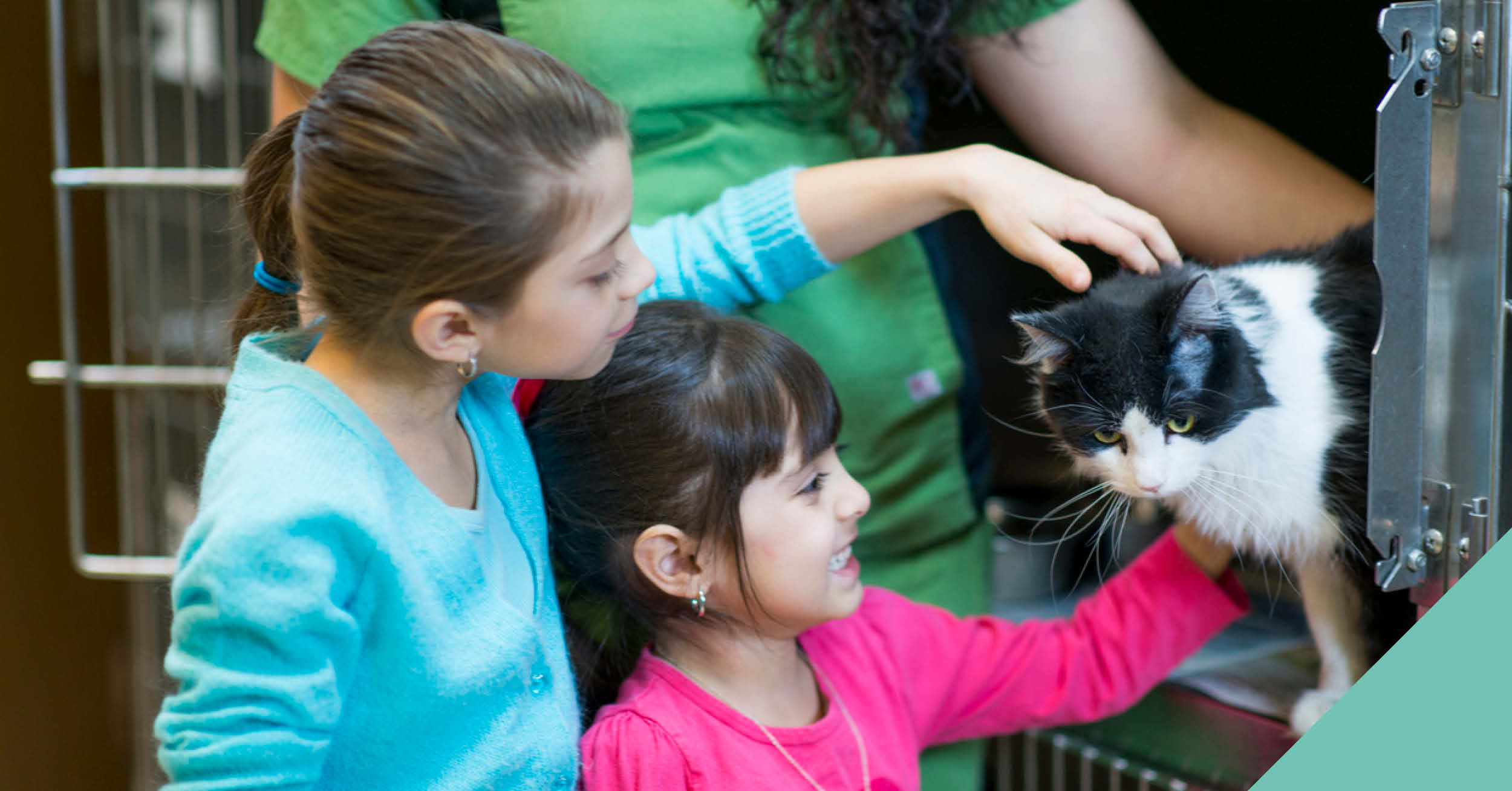 Two children stroking a cat