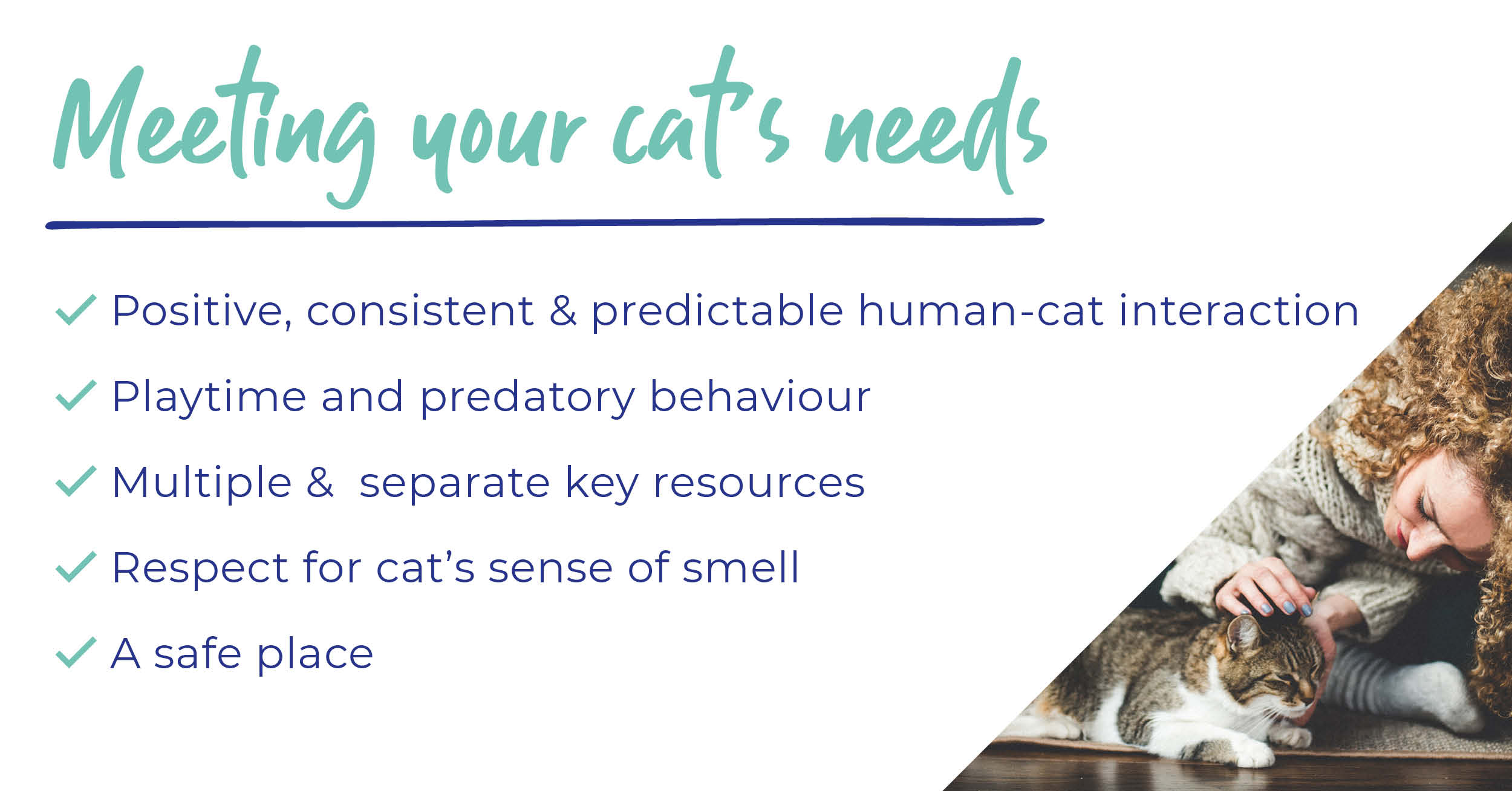 Meeting cat's needs list