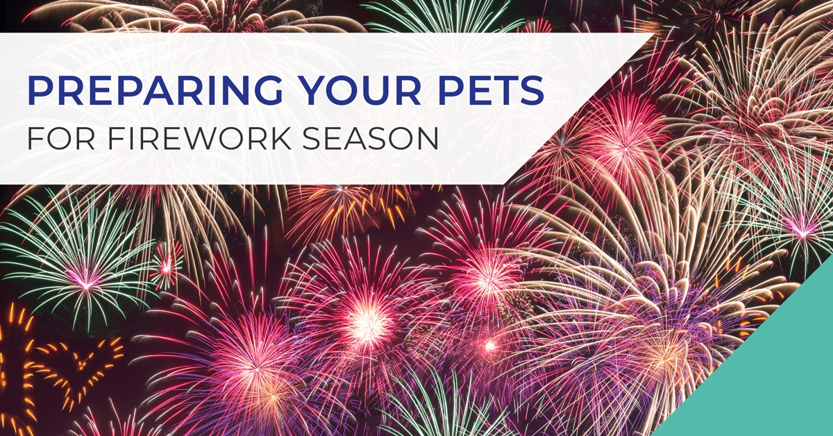 Preparing your pets for firework season in Fife