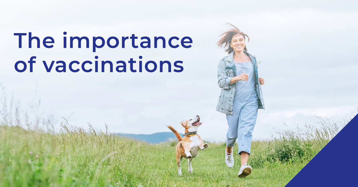 Importance of vaccinations banner