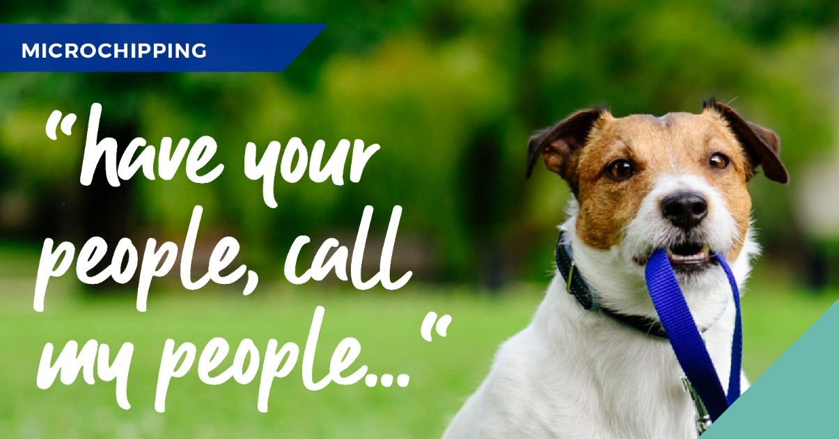 Kirkcaldy vets discuss the importance of microchipping your pet