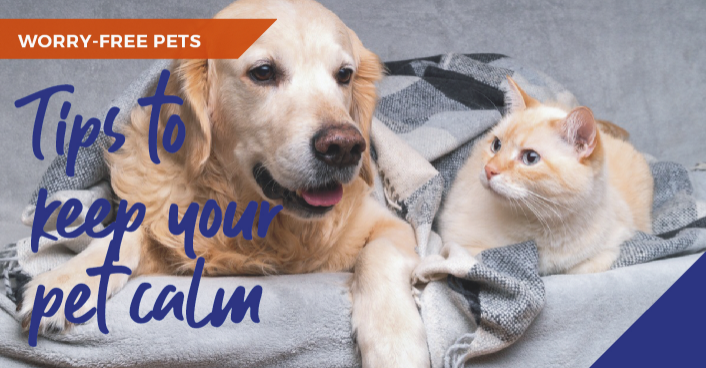 Tips to keep pet clean banner