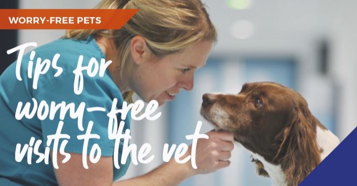 tips for worry free visits to the vets banner