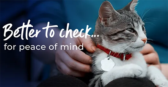 Better to check...