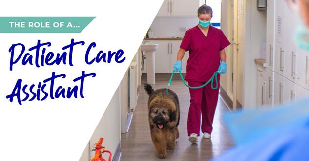 The role of a patient care assistant in Fife