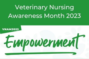 Veterinary Nursing Awareness Month at St Clair Vets
