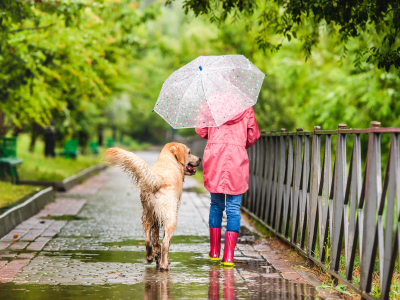 Dog walking with owner holding an umbrella