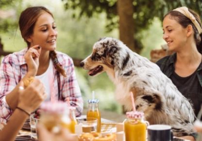 Dog sitting on table with two women