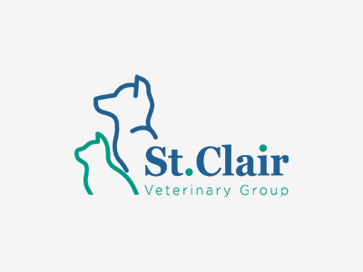 The role of a veterinary surgeon in Fife