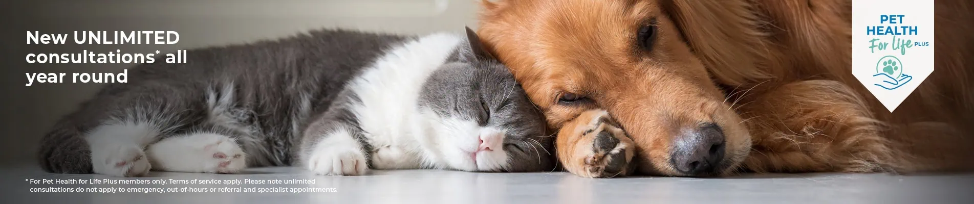 Pet Health for Life Plans from St Clair Veterinary Group in Fife