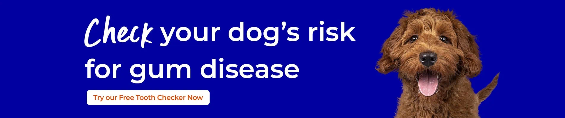 Dog Dental Care in Fife