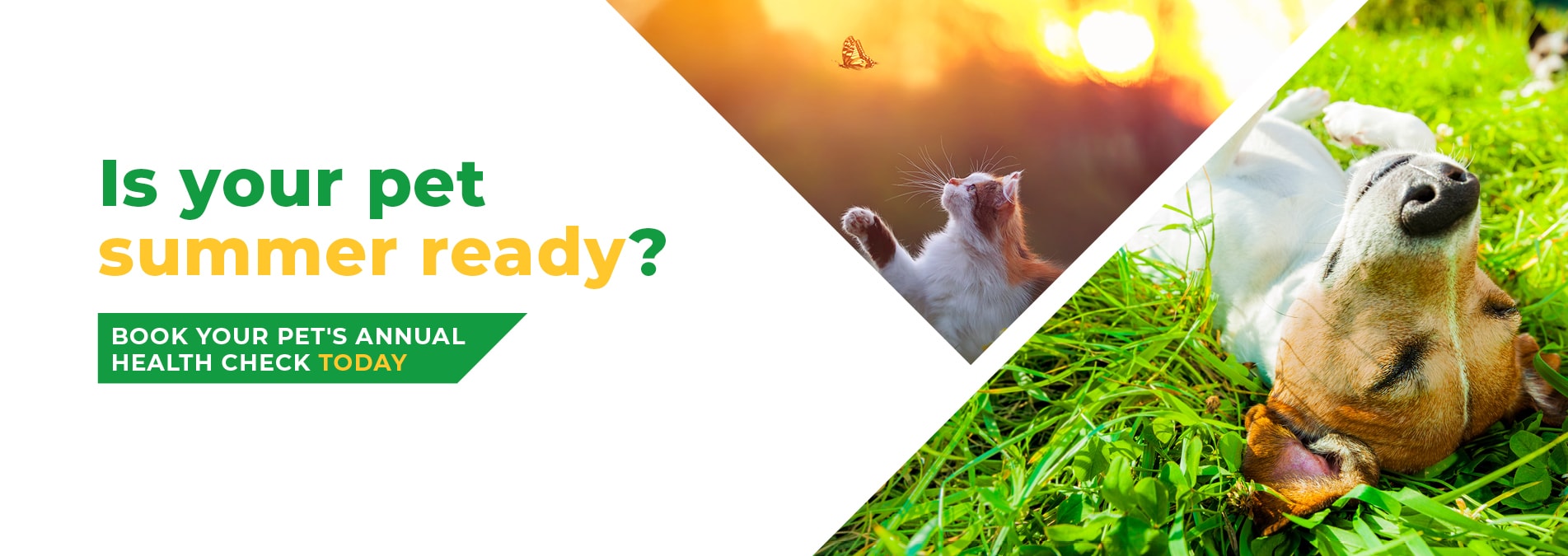 St Clair Veterinary Group animal hospital in Kirkcaldy, Fife