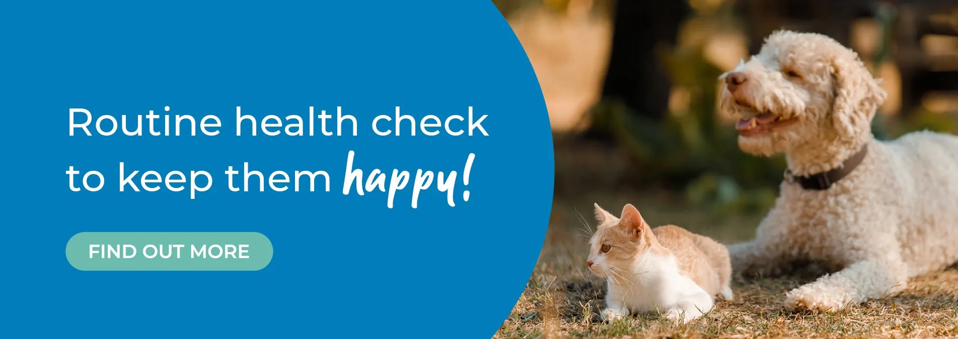 St Clair Veterinary Group – animal hospital in Kirkcaldy, Fife