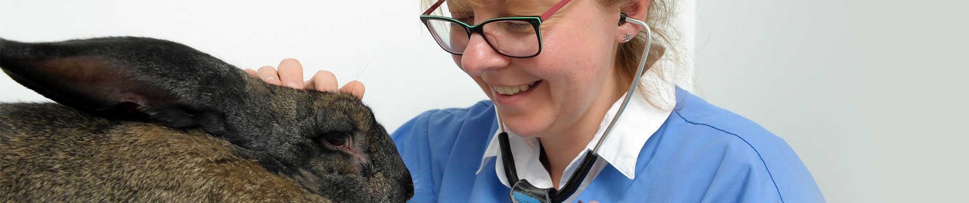 St Clair Veterinary Group runs a loyalty scheme