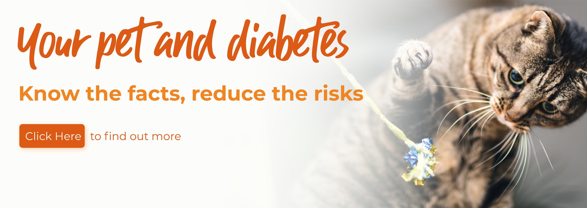 St Clair Veterinary Group animal hospital in Kirkcaldy, Fife