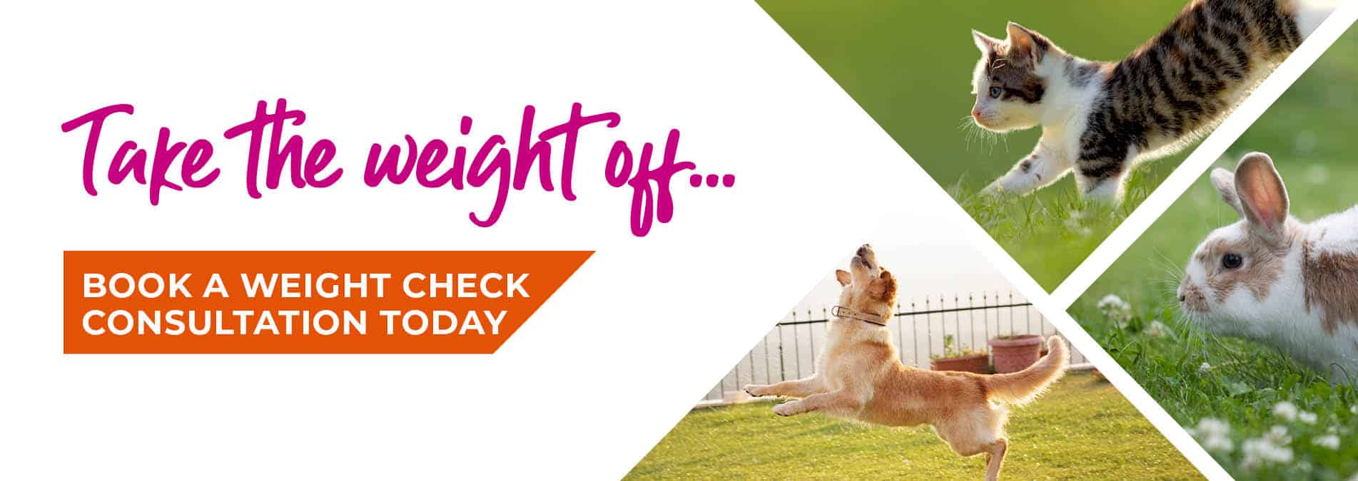 St Clair Veterinary Group animal hospital in Kirkcaldy, Fife